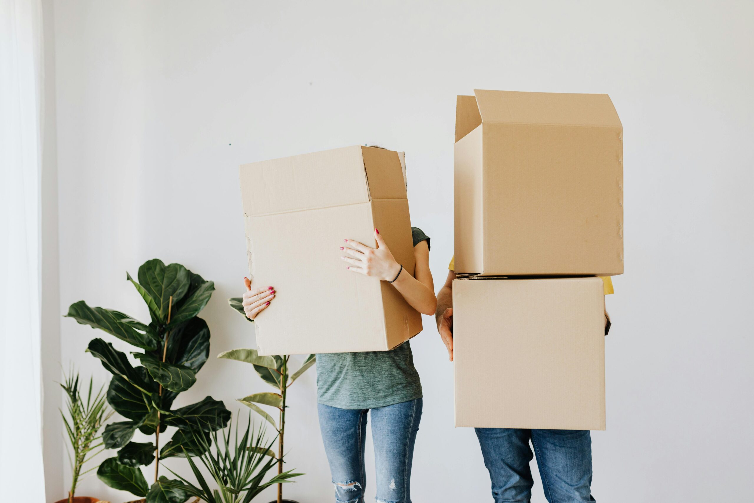 moving pack box pexels-karolina-grabowska-4506270